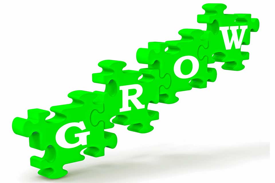 GROW-opt