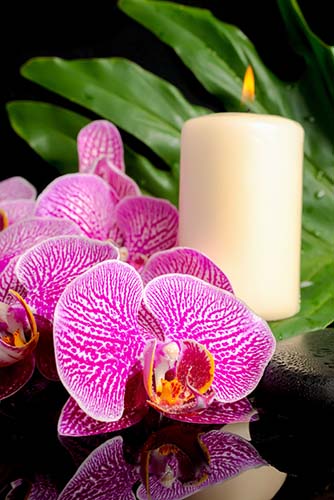 Candle-flowers-123RF-web