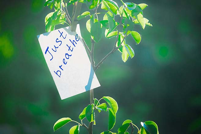 breathe-sign-leaves-dreamstime_l_94596179-web